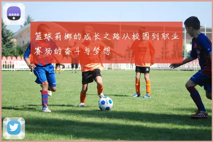 篮球莉娜的成长之路从校园到职业赛场的奋斗与梦想